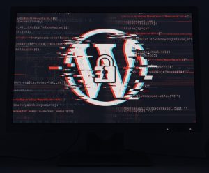 DC Government Website Hacked: Lessons for WordPress Security in the Public Sector